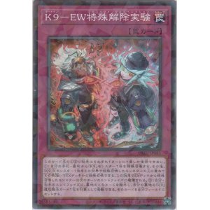 画像: K9－EW特殊解除実験【ノーマルパラレル】