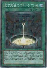 画像: 黒き覚醒のエルドリクシル【ノーマルパラレル】