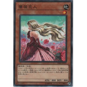 画像: 薔薇恋人【ノーマル】