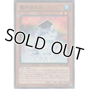 画像: 魔知ガエル【ノーマル】