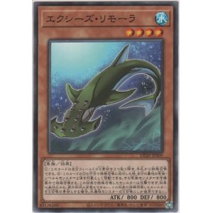 画像: エクシーズ・リモーラ【ノーマル】