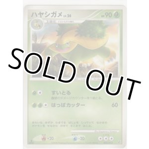 画像: ハヤシガメ LV.26