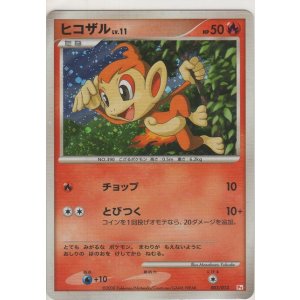 画像: ヒコザル LV.11
