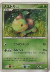 画像: ナエトル LV.8