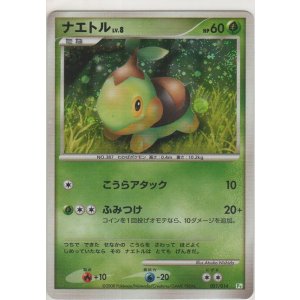 画像: ナエトル LV.8