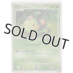 画像: ナエトル LV.8
