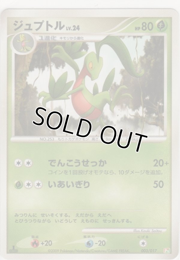 画像1: ジュプトル LV.24