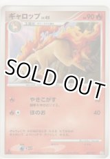 画像: ギャロップ LV.45