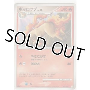 画像: ギャロップ LV.45