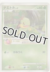 画像: ナエトル LV.9