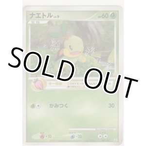 画像: ナエトル LV.9