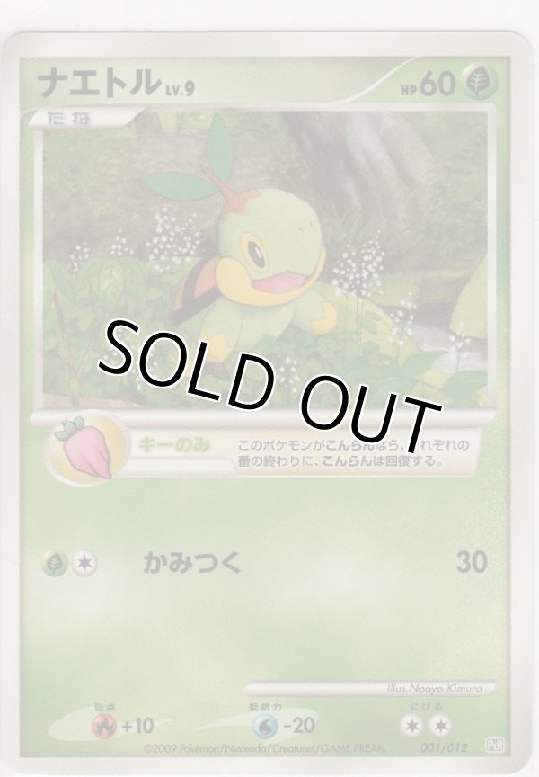 画像1: ナエトル LV.9