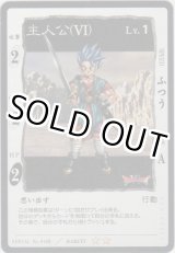 画像: 主人公（VI）