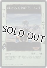 画像: はさみくわがた