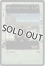 画像: ホーンビートル