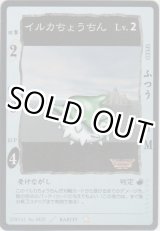 画像: イルカちょうちん