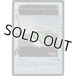 画像: イルカちょうちん