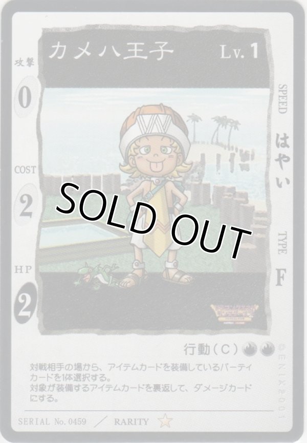 画像1: カメハ王子