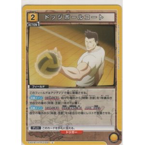 画像: ドッジボールコート