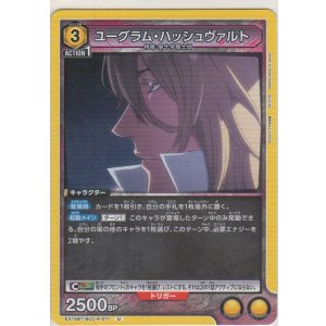 画像: ユーグラム・ハッシュヴァルト