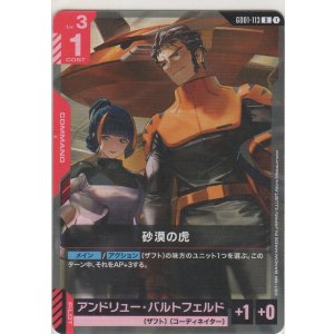 画像: 砂漠の虎