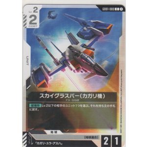 画像: スカイグラスパー（カガリ機）
