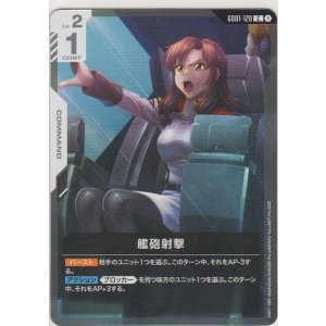 画像: 艦砲射撃