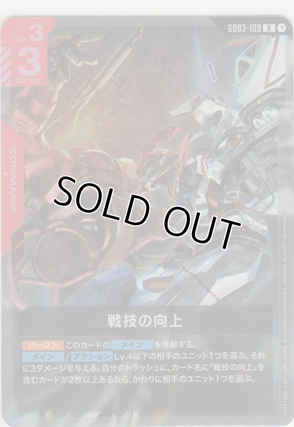 画像1: 戦技の向上