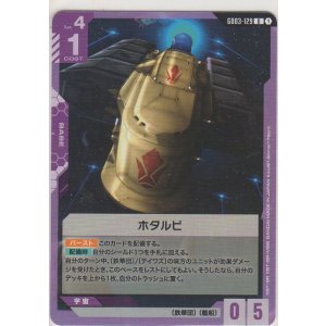 画像: ホタルビ