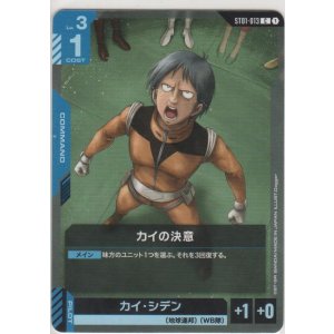画像: カイの決意≪パラレル≫