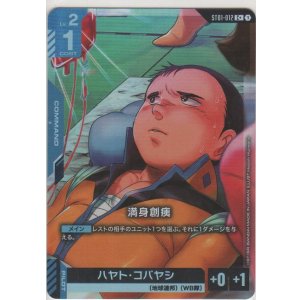 画像: 満身創痍≪パラレル≫
