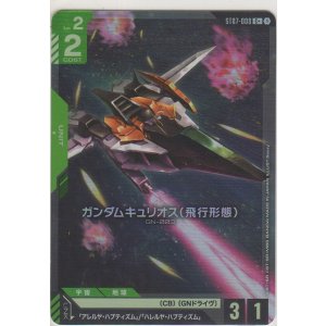 画像: ガンダムキュリオス（飛行形態）≪パラレル≫