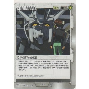 画像: 残された希望