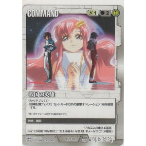 画像: 救国の英雄