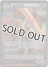 画像: 武田信玄