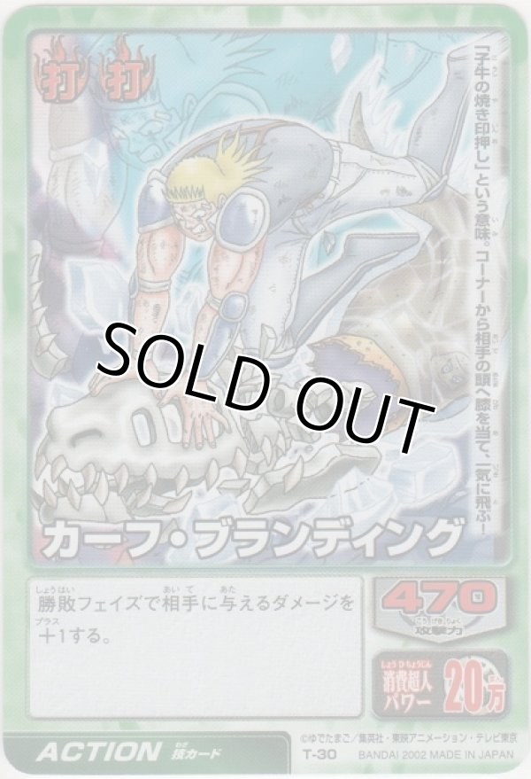 画像1: カーフ・ブランディング