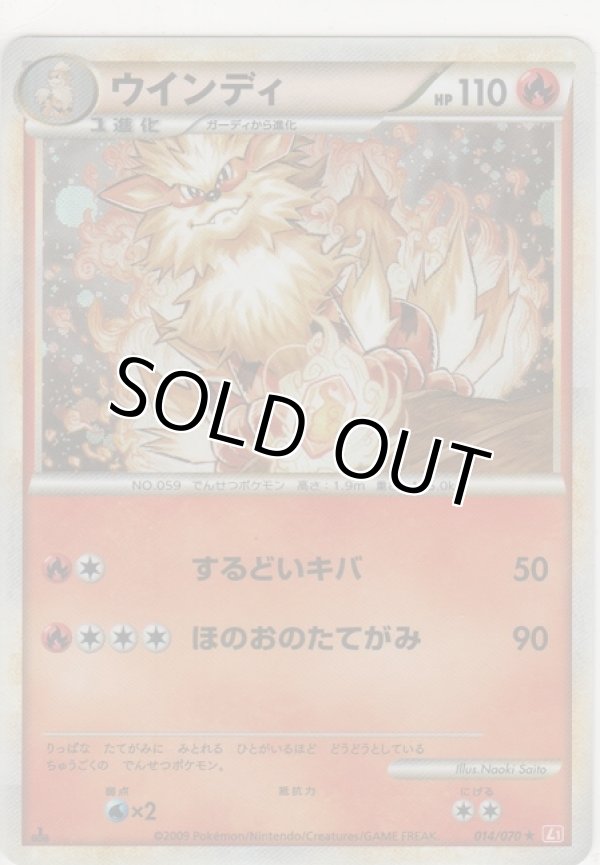 画像1: ウインディ