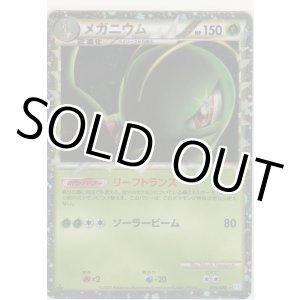 画像: メガニウム