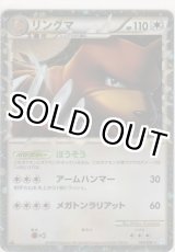 画像: リングマ