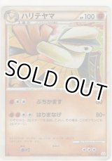 画像: ハリテヤマ