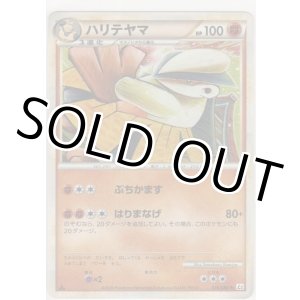 画像: ハリテヤマ