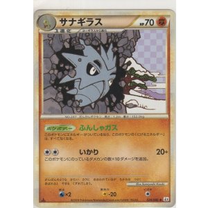 画像: サナギラス
