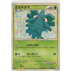 画像: クヌギダマ