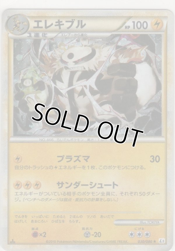 画像1: エレキブル