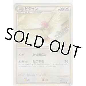 画像: ピジョン