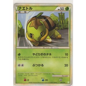 画像: ナエトル