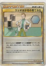画像: ウツギはかせの育てかた