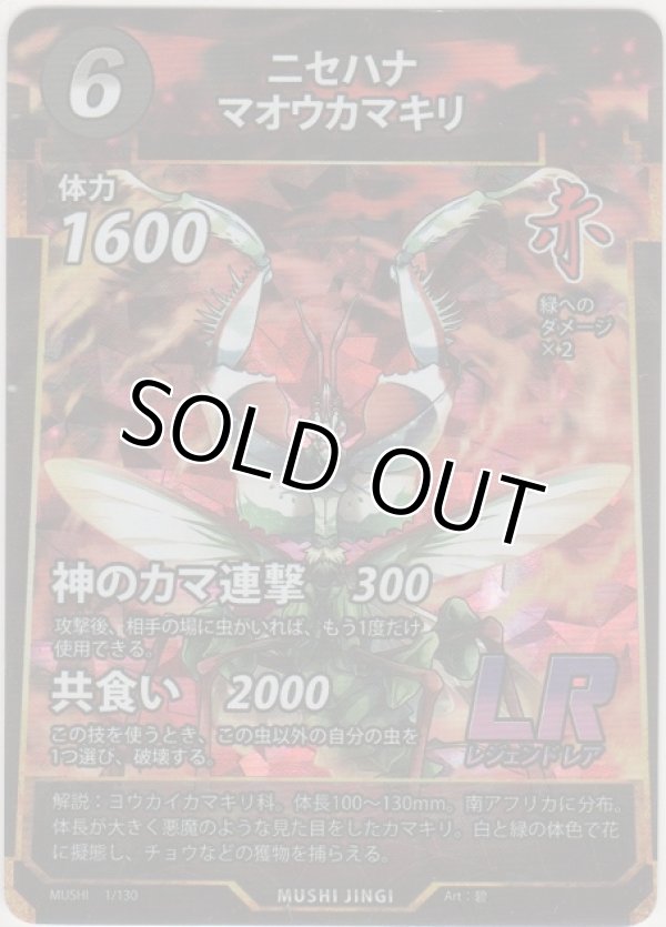 画像1: ニセハナマオウカマキリ