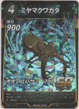 画像: ミヤマクワガタ