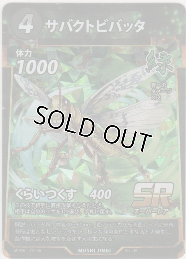 画像1: サバクトビバッタ